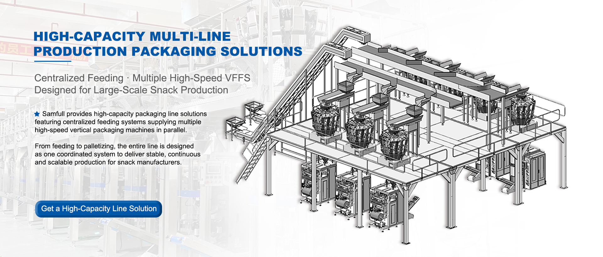 High-Capacity Multi-Line Production Packaging Solutions