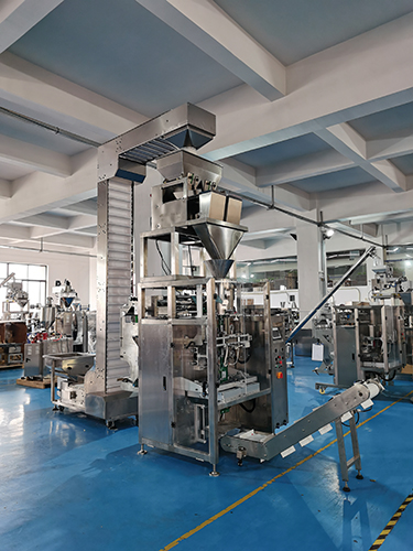 Grain Cereal Linear Weigher Packing Machine