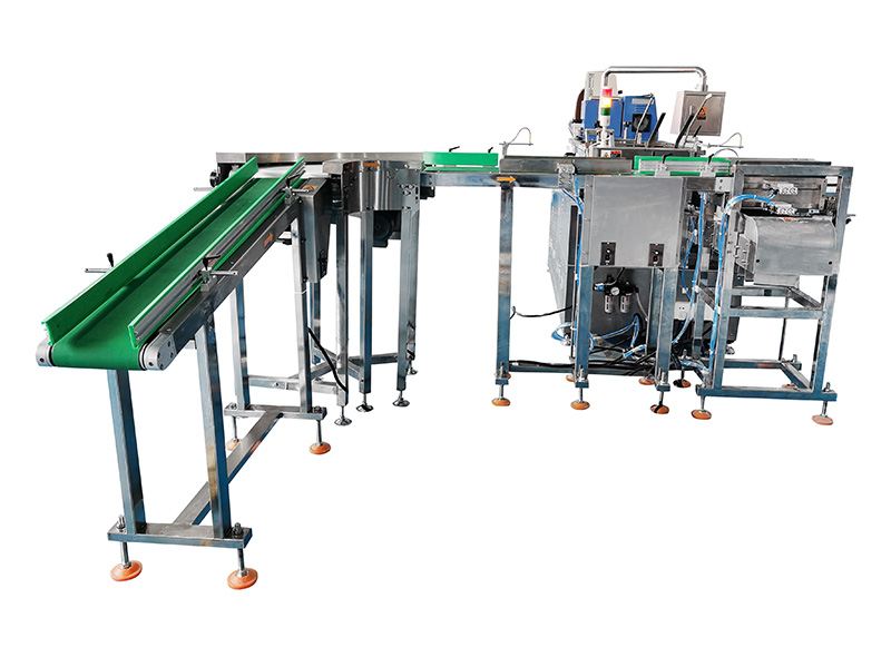 Flour Bag and Carton Packing Line