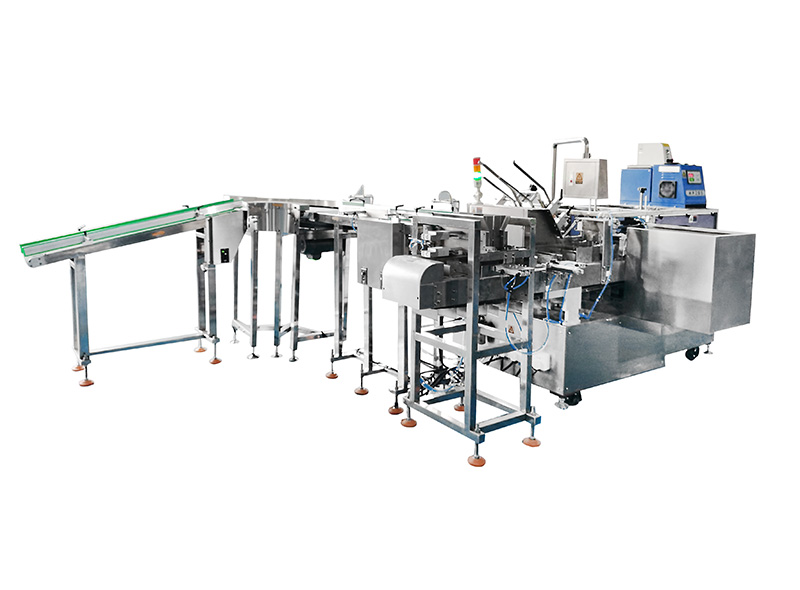 Flour Bag and Carton Packing Line